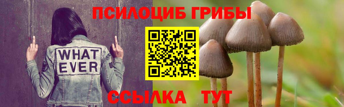 Галлюциногенные грибы мухоморы  Вход с VPN  Муром 